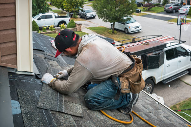 Professional Emergency Roof Repair technician working in Larimore, ND
